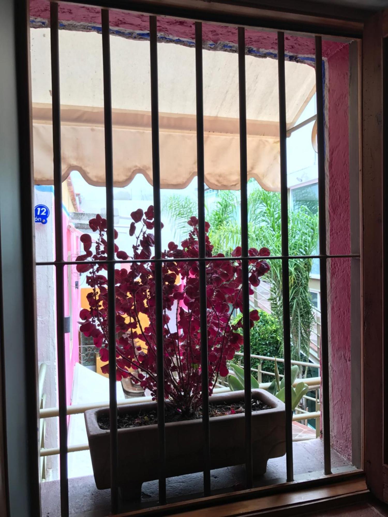 Hotel Malinalli 瓦曼特拉 外观 照片